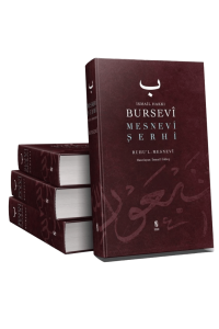 Mesnevi Şerhi