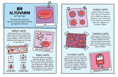 Kakanın, Pandanın ve Senin Yaşamında Bir Gün