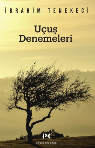 Uçuş Denemeleri