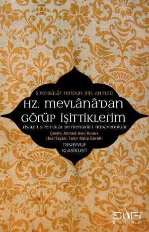 Hz. Mevlanadan Görüp İşittiklerim