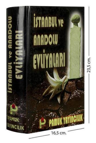 İstanbul ve Anadolu Evliyaları